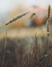 科幻大片 污动漫