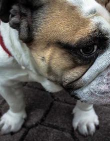 喜剧电影 污动漫